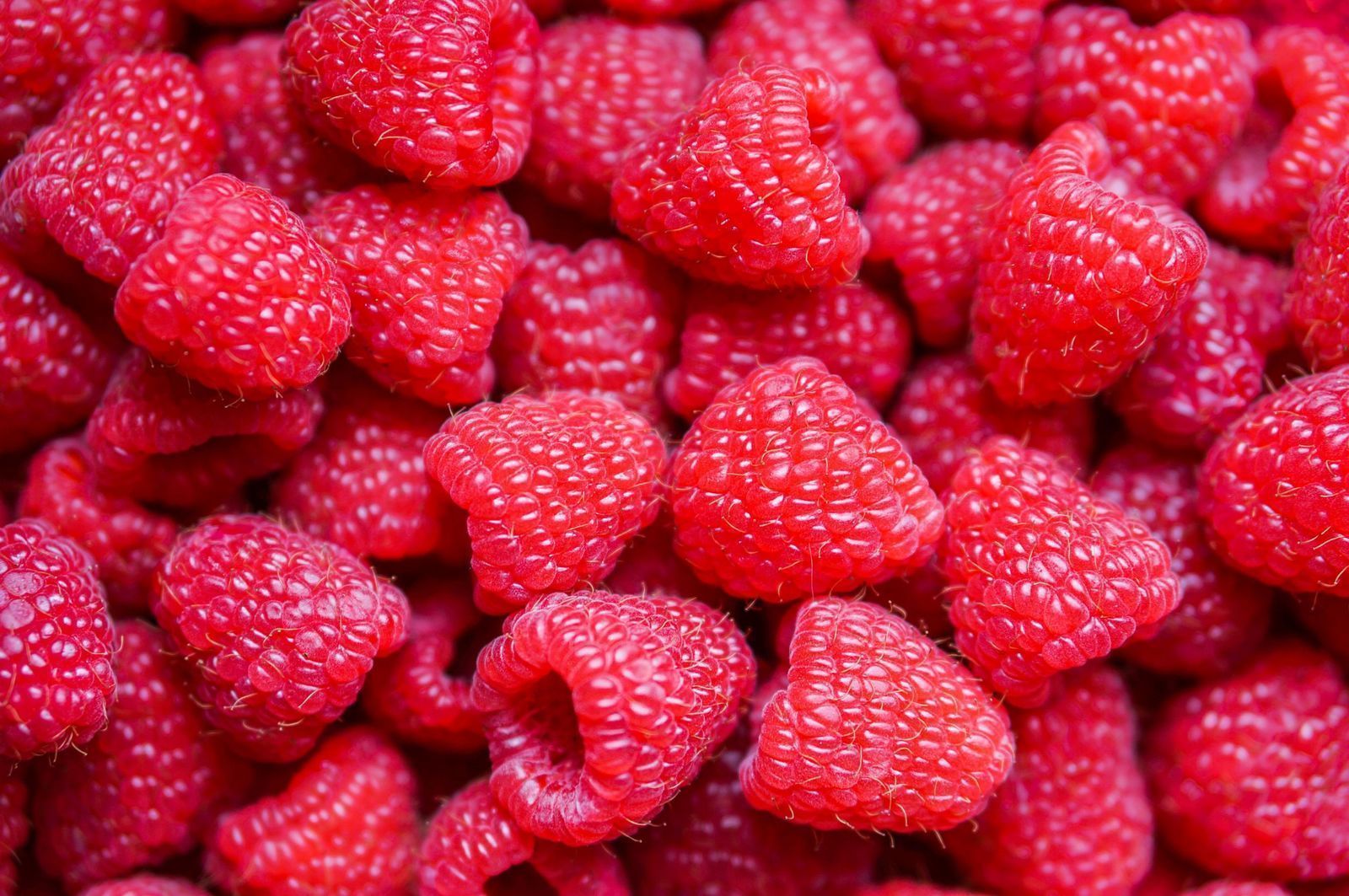 Non-stop Fresh Raspberries